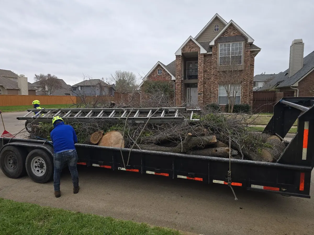 Expert Tree Removal with proper safety equipment in Mcadoo